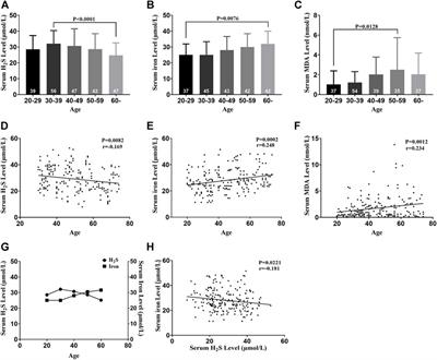 Hydrogen Sulfide Inhibits Ferroptosis in Cardiomyocytes to Protect Cardiac Function in Aging Rats